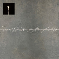 Гирлянда-кластер, серебряная струна, "Luca Lighting", 11 м, теплый белый (1288825832)