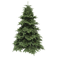 Ель 2,30 м Abies Nordmann de Luxe зеленая (897957263)