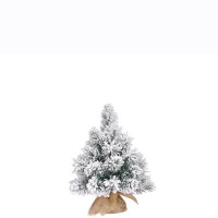 Сосна 0,60 м. Dinsmore Frosted зеленая со снегом (897963151)