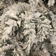Сосна 0,45 м. Dinsmore Frosted зеленая со снегом (897963150)