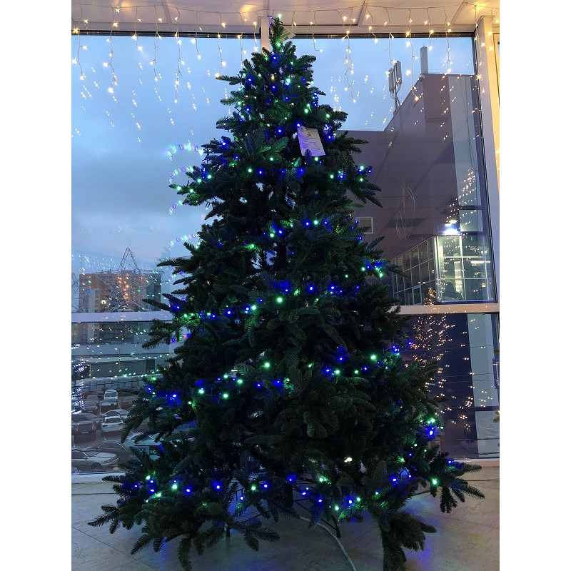 Ель 2,30 м Abies Nordmann de Luxe зеленая (897957263)