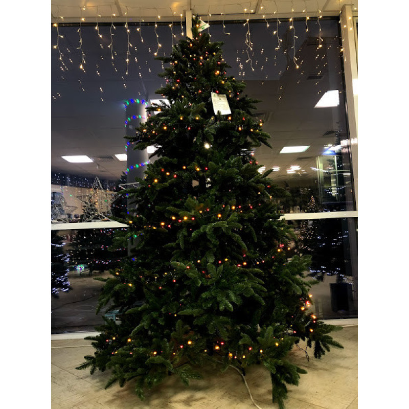 Ель 2,30 м Abies Nordmann de Luxe зеленая (897957263)