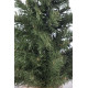 Сосна искусственная Norton зеленая 0,45 м, Black Box Trees (1086422197)