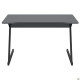 Стол компьютерный Dexter DX1200 (1200х600х750Н) черный графит/серый шифер (A217858)