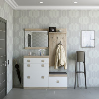 Прихожая Соната 5 (модульная - 4 элемента) дуб сонома + белый (8657)