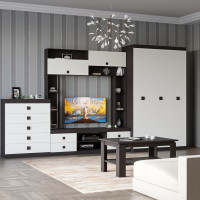 Гостиная Соната Комплект 28 (модульная - 4 элемента) венге темный + белый (8900)