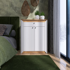 Тумба закритая Нордик-800 80х38х100 см Белый + Дуб крафт золотой (13263)