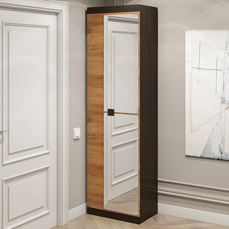 Шкаф распашной Соната-600 с зеркалом венге темный + дуб крафт золотой (8991)