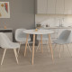 Круглий стіл СЕТ-4 Білий/Лак (558970)
