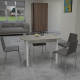 Стіл обідній розсувний МОДЕРН Бетон/Білий (2824837)