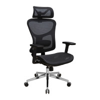 Кресло Эргостар Хром Synchro Сеть Черная (R00000052543)