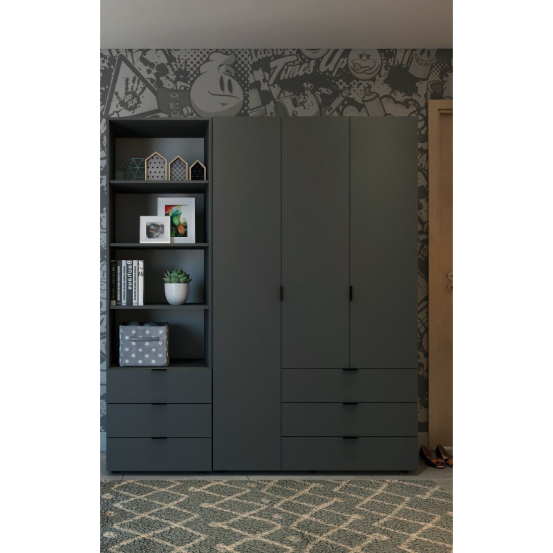 Пенал для одежды Гелар Графит 3Ш 60х49.5х203.4 (41516132)