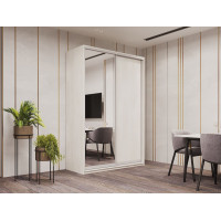 Шкаф купе Сити Лайт Белое дерево 1 ДСП / 1 Зеркало 150х45х225 (42002060)