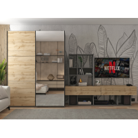 Шафа купе G-Caiser Графіт Дуб Євок 1 ДСП / 1 Дзеркало 160х60х240 (42005072)