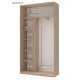 Шкаф купе Сити Лайт Дуб Cонома 2 Зеркала 120х45х225 (44900068)