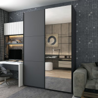 Шкаф купе G-Caiser Графит Графит 1 ДСП / 1 зеркало 180х60х240 (42005088)