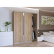 Шкаф купе Сити Лайт Дуб Cонома 2 ДСП / 1 Зеркало 180х60х225 (41070010)