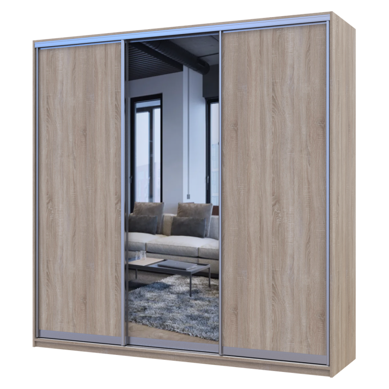 Шкаф купе Сити Лайт Дуб сонома 2 ДСП / 1 Зеркало 225х60х225 (42002135)