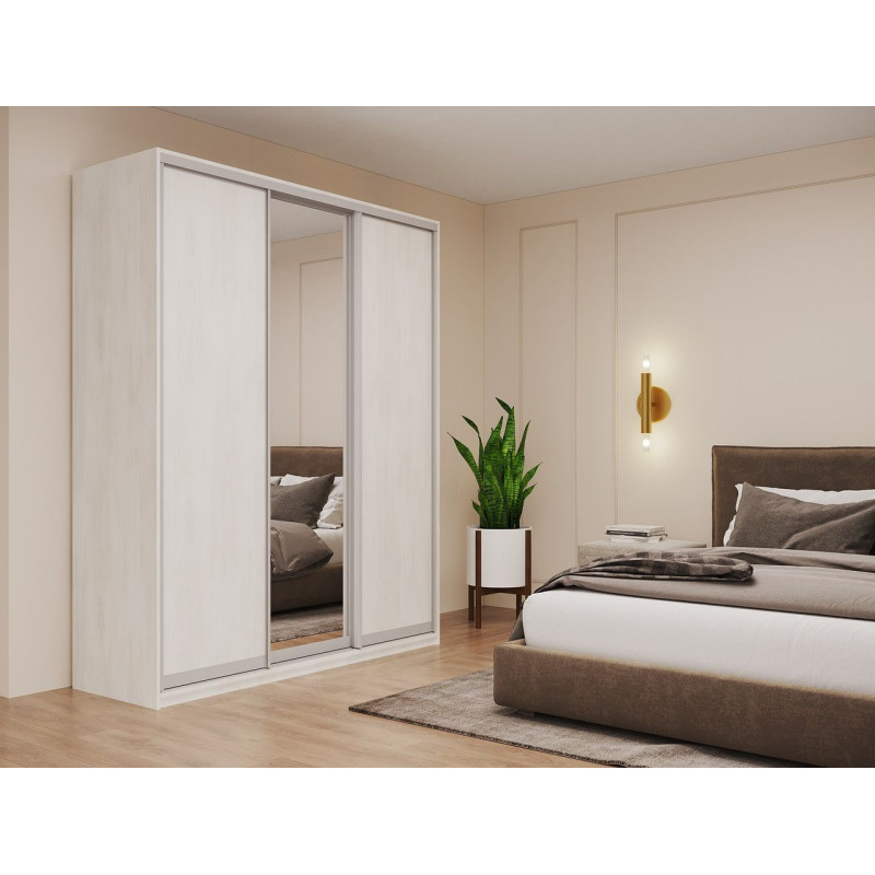 Шкаф купе Сити Лайт Белое дерево 2 ДСП / 1 Зеркало 180х60х225 (42002046)