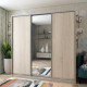 Шкаф купе Сити Лайт Дуб сонома 2 ДСП / 1 Зеркало 225х60х225 (42002135)