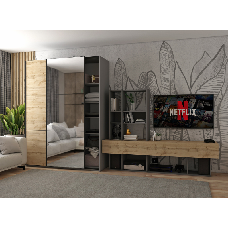 Шкаф купе G-Caiser Графит Дуб Евок 1 ДСП / 1 Зеркало 160х60х240 (42005072)