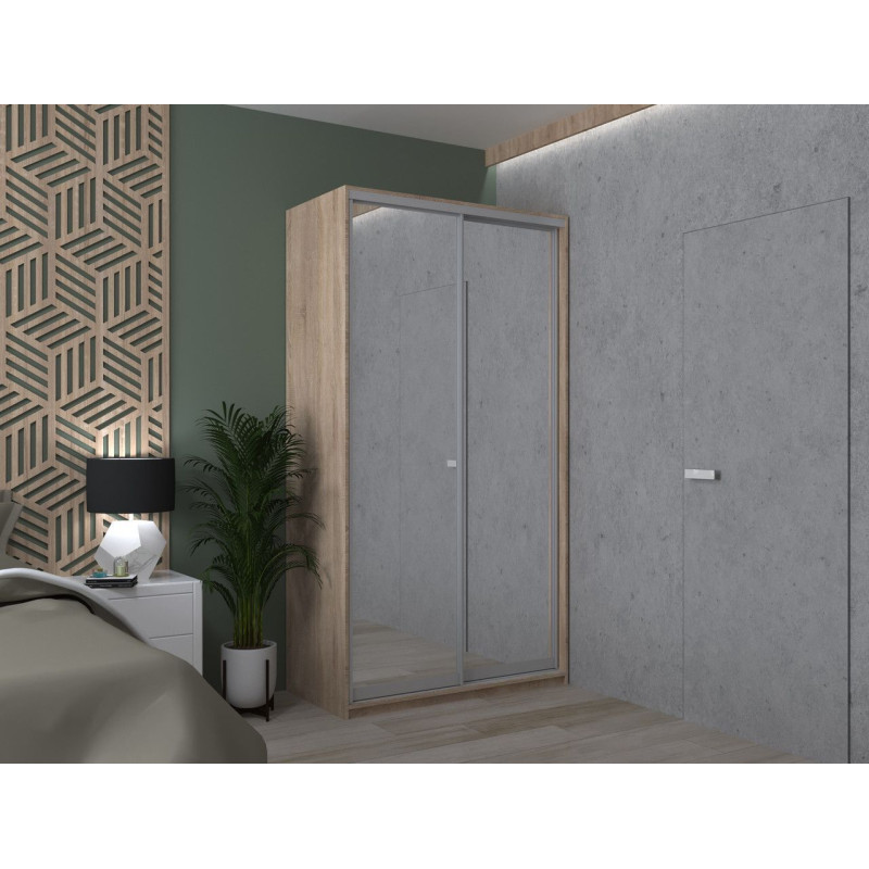 Шкаф купе Сити Лайт Дуб Cонома 2 Зеркала 120х60х225 (42002036)