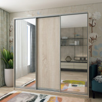 Шкаф купе Сити Лайт Дуб сонома 1 ДСП / 2 Зеркала 225х60х225 (42002136)