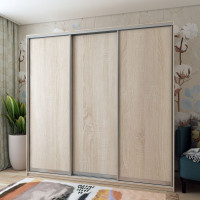 Шкаф купе Сити Лайт Дуб сонома 3 ДСП 225х60х225 (42002137)