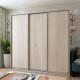 Шкаф купе Сити Лайт Дуб сонома 3 ДСП 225х60х225 (42002137)