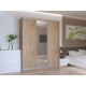 Шкаф купе Сити Лайт Дуб Cонома 2 ДСП / 1 Зеркало 180х60х225 (41070010)