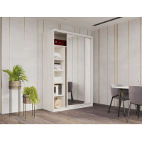 Шкаф купе Сити Лайт Белое дерево 1 ДСП / 1 Зеркало 120х60х225 (42002042)