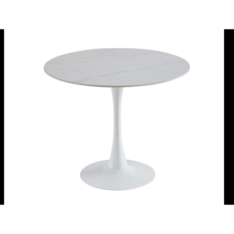 Стіл обідній T-325 каса вайт + білий Vetro Mebel